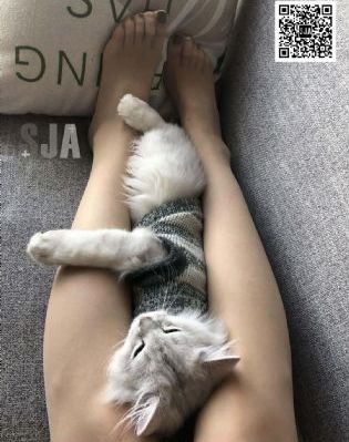 女特警之暗战上线电视剧免费观看_BD韩语在线视频观看