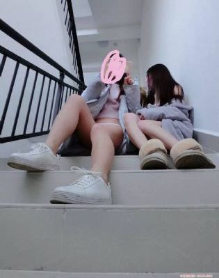 森林里的熊冬眠中_1080动漫免费观看