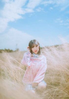 雪豹坚强岁月演员表_DVD高清在线观看